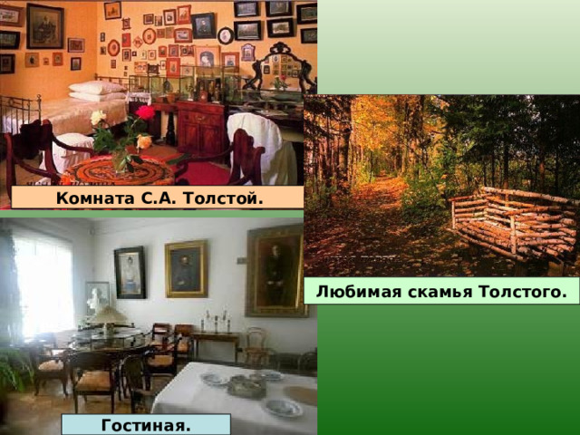 Комната С.А. Толстой. Любимая скамья Толстого. Гостиная. 
