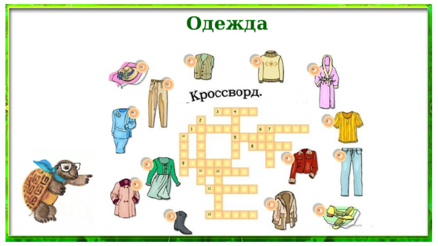 Одежда 