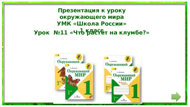 Презентация к уроку окружающего мира УМК «Школа России» 1 класс Урок №11 «Что растёт на клумбе?» 