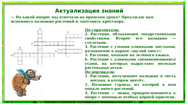 Актуализация знаний — На какой вопрос мы отвечали на прошлом уроке? Предлагаю вам вспомнить названия растений и заполнить кроссворд. По горизонтали: 2. Растение, обладающее лекарственными свойствами. Второе его название — столетник. 3. Растение с узкими длинными листьями, называемое в народе «щучий хвост». 5. Растение, похожее на зелёного ежика. 6. Растение с длинными свешивающимися усами, на которых вырастают молодые растеньица-детки. По вертикали: Растение, получившее название в честь месяца, в котором цветёт. 2. Название страны, из которой к нам попало много растений. 4. Растение — лиана, прикрепляющееся к опоре с помощью особых корней-присосок. 