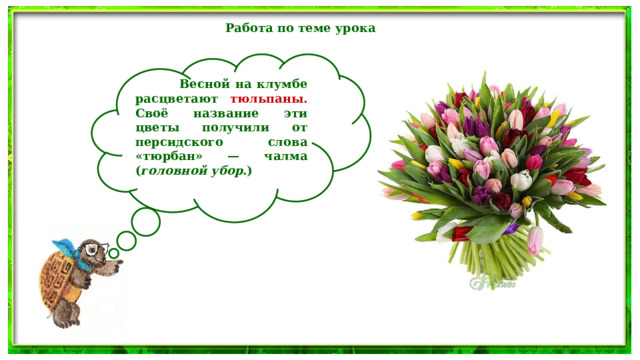 Работа по теме урока   Весной на клумбе расцветают тюльпаны. Своё название эти цветы получили от персидского слова «тюрбан» — чалма ( головной убор .)  