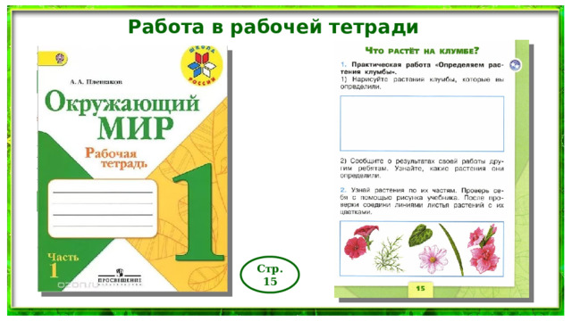 Работа в рабочей тетради Стр.15 