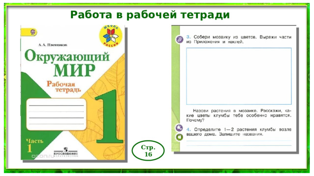 Работа в рабочей тетради Стр.16 