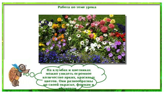 Работа по теме урока  На клумбах и цветниках можно увидеть огромное количество ярких, красивых цветов. Они разнообразны по своей окраске, формам и размерам. 