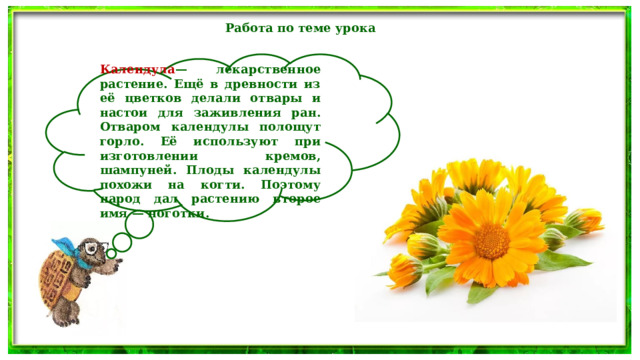 Работа по теме урока  Календула — лекарственное растение. Ещё в древности из её цветков делали отвары и настои для заживления ран. Отваром календулы полощут горло. Её используют при изготовлении кремов, шампуней. Плоды календулы похожи на когти. Поэтому народ дал растению второе имя — ноготки. 