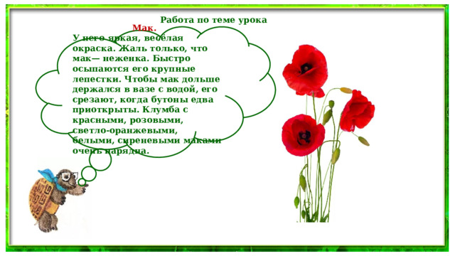 Работа по теме урока Мак. У него яркая, весёлая окраска. Жаль только, что мак— неженка. Быстро осыпаются его крупные лепестки. Чтобы мак дольше держался в вазе с водой, его срезают, когда бутоны едва приоткрыты. Клумба с красными, розовыми, светло-оранжевыми, белыми, сиреневыми маками очень нарядна. 