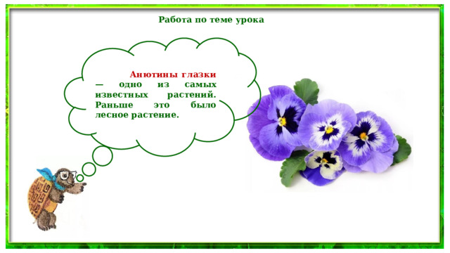 Работа по теме урока   Анютины глазки — одно из самых известных растений. Раньше это было лесное растение. 
