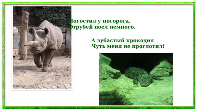 Погостил у носорога, Отрубей поел немного. А зубастый крокодил Чуть меня не проглотил!  