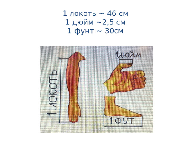 1 локоть ~ 46 см  1 дюйм ~2,5 см  1 фунт ~ 30см   