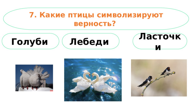 7. Какие птицы символизируют верность? Лебеди Ласточки  Голуби  