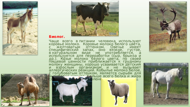 Биолог. Чаще всего в питании человека используют коровье молоко.  Коровье молоко белого цвета, с желтоватым оттенком. Овечье имеет специфический запах, оно вязкое, густое, в натуральном виде не употребляется, а используется для переработки (сыр, брынза и др.). Козье молоко белого цвета, по своей пищевой ценности приближается к грудному молоку женщины, хорошо усваивается детским и взрослым организмом и не вызывает аллергических реакций. Кобылье молоко белое, с голубоватым оттенком, является сырьём для выработки кумыса. Больше всего белка и жира содержится в молоке оленей, овец и буйволиц. 