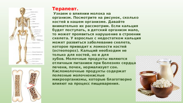 Терапевт.  Узнаем о влиянии молока на организм. Посмотрите на рисунок, сколько костей в нашем организме. Давайте внимательно их рассмотрим. Если кальция будет поступать, в детский организм мало, то может проявиться нарушение в строении скелета. У взрослых с недостатком кальция может развиться заболевание скелета, которое приводит к ломкости костей (остеопороз). Кальций необходим не только для костей, но и для зубов. Молочные продукты являются отличным питанием при болезнях сердца, печени, почек, нормализует сон. Кисломолочные продукты содержат полезные молочнокислые микроорганизмы, которые благотворно влияют на процесс пищеварения.  
