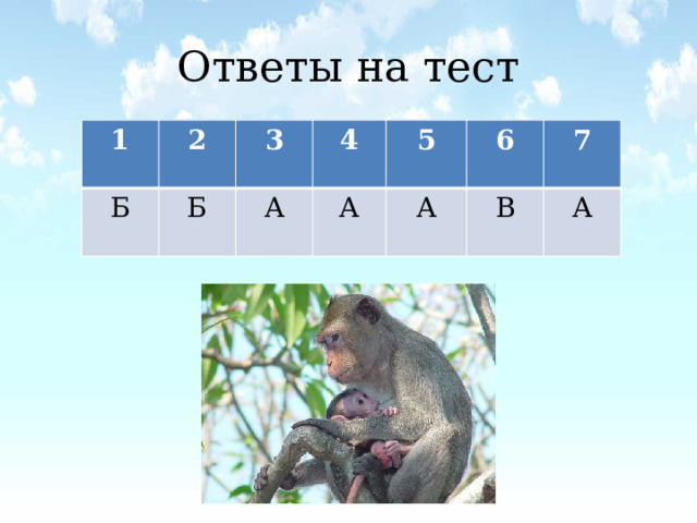 Ответы на тест 1 2 Б 3 Б 4 А А 5 6 А 7 В А 