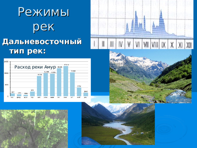 Режимы рек Западносибирский тип рек:  Демьянка (приток Иртыша) 