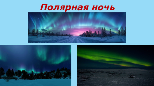 Полярная ночь 