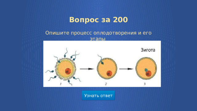  Вопрос за 200  Опишите процесс оплодотворения и его этапы Узнать ответ  