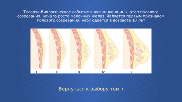 Телархе-биологическое событие в жизни женщины, этап полового созревания, начала роста молочных желез. Является первым признаком полового созревания, наблюдается в возрасте 10 лет Вернуться к выбору тем→  