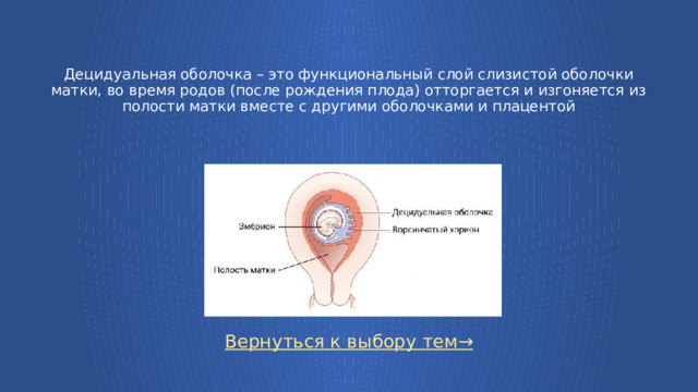Децидуальная оболочка – это функциональный слой слизистой оболочки матки, во время родов (после рождения плода) отторгается и изгоняется из полости матки вместе с другими оболочками и плацентой Вернуться к выбору тем→  