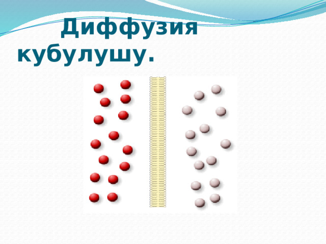  Диффузия кубулушу. 