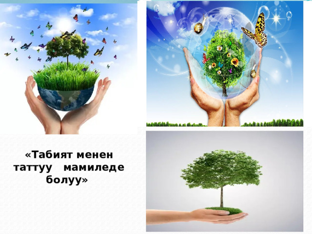  «Табият менен таттуу мамиледе болуу»     