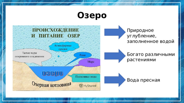 Озеро Природное углубление, заполненное водой Богато различными растениями Вода пресная 