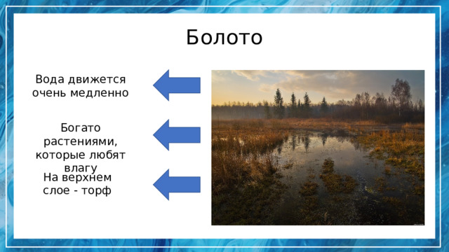 Болото Вода движется очень медленно Богато растениями, которые любят влагу На верхнем слое - торф 