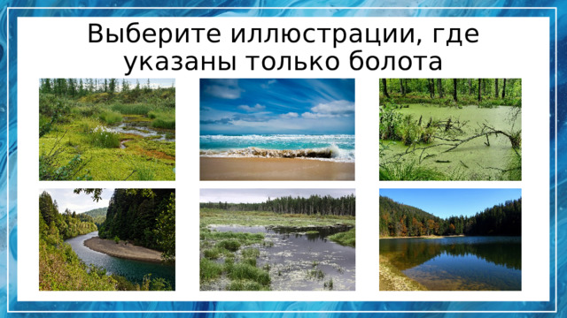 Выберите иллюстрации, где указаны только болота 