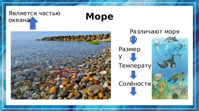Море Является частью океана Различают моря по Размеру Температуре Солёности Глубине 