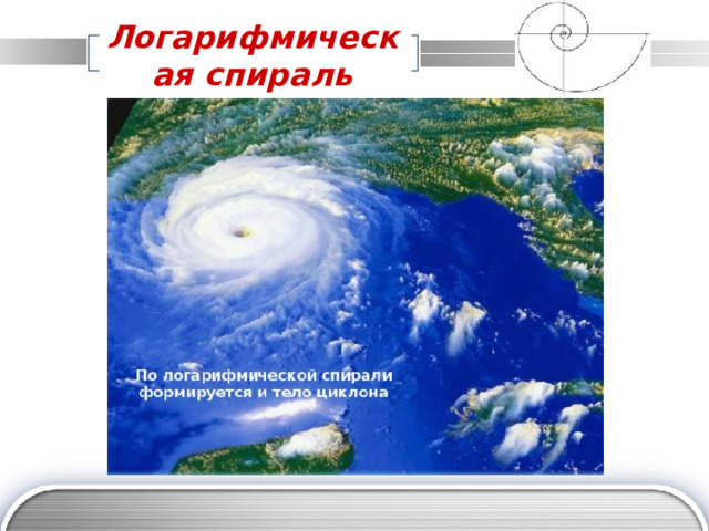 Логарифмическая спираль 