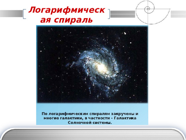 Логарифмическая спираль 