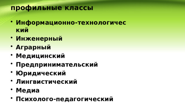 профильные классы Информационно-технологический Инженерный Аграрный Медицинский Предпринимательский Юридический Лингвистический Медиа Психолого-педагогический 