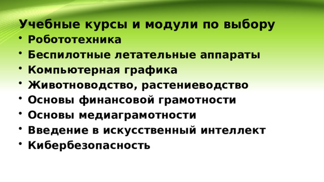 Учебные курсы и модули по выбору Робототехника Беспилотные летательные аппараты Компьютерная графика Животноводство, растениеводство Основы финансовой грамотности Основы медиаграмотности Введение в искусственный интеллект Кибербезопасность 