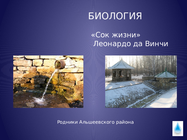 БИОЛОГИЯ «Сок жизни»  Леонардо да Винчи Родники Альшеевского района 