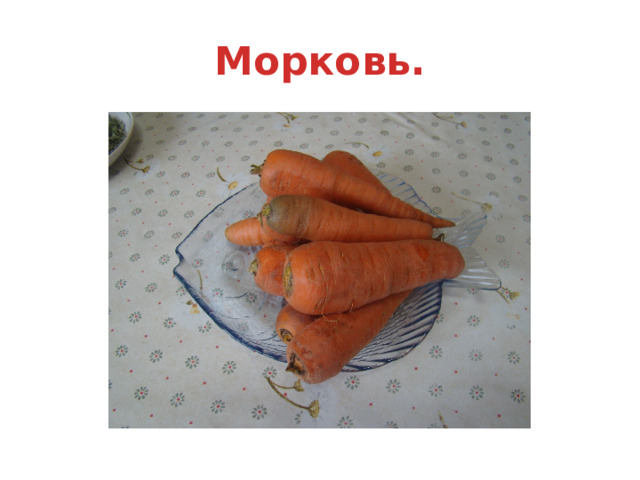 Морковь. 