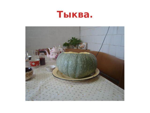 Тыква. 