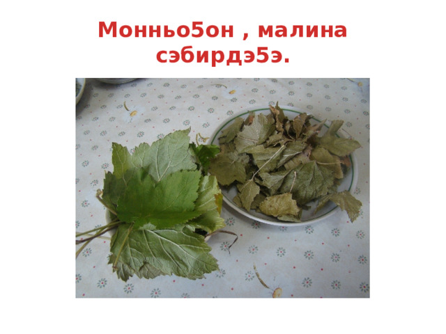 Монньо5он , малина сэбирдэ5э. 