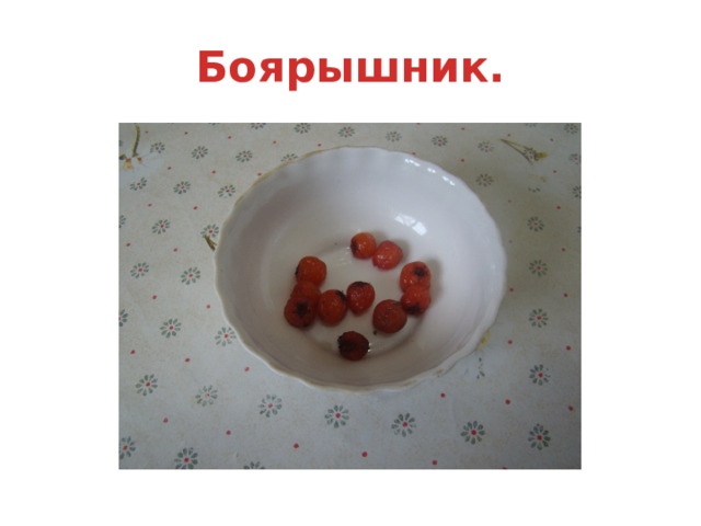 Боярышник. 