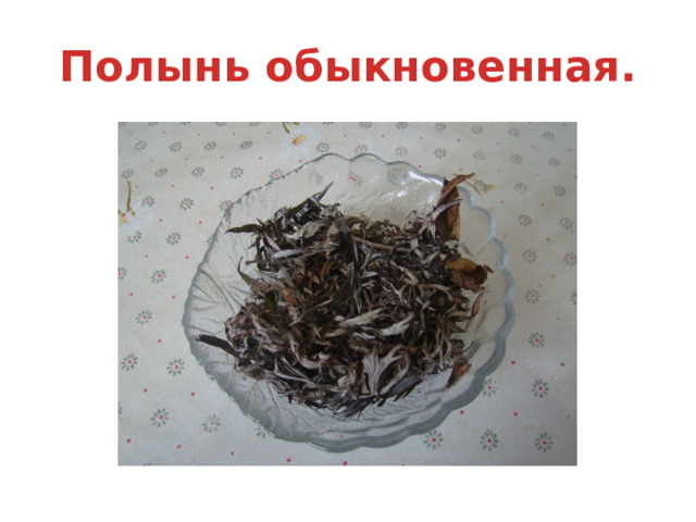 Полынь обыкновенная. 