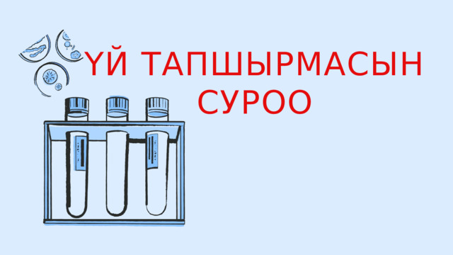 ҮЙ ТАПШЫРМАСЫН СУРОО 