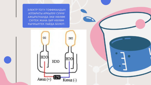 ЭЛЕКТР ТОГУ ГОФФМАНДЫН АППАРАТЫ АРКЫЛУУ СУУНУ АЖЫРАТКАНДА ЭКИ КӨЛӨМ СУУТЕК ЖАНА БИР КӨЛӨМ КЫЧКЫЛТЕК ПАЙДА БОЛОТ: 