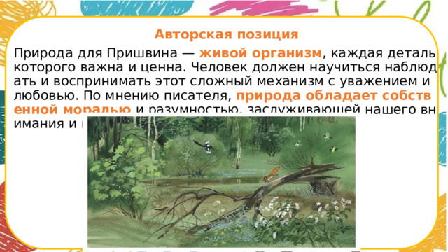  Авторская позиция Природа для Пришвина — живой организм , каждая деталь которого важна и ценна. Человек должен научиться наблюдать и воспринимать этот сложный механизм с уважением и любовью. По мнению писателя, природа обладает собственной моралью и разумностью, заслуживающей нашего внимания и почитания.      