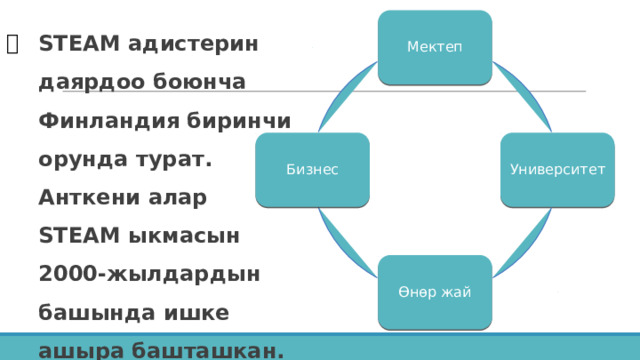 STEAM адистерин даярдоо боюнча Финландия биринчи орунда турат.  Анткени алар  STEAM ыкмасын  2000-жылдардын башында ишке ашыра башташкан. Мектеп Университет Бизнес Өнөр жай 