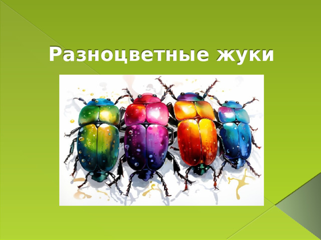  Разноцветные жуки 