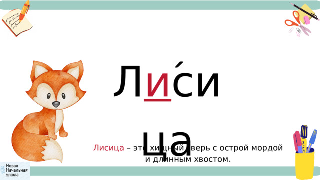 Л и сица Лисица – это хищный зверь с острой мордой и длинным хвостом. 