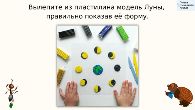 Вылепите из пластилина модель Луны, правильно показав её форму. 