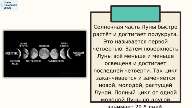 Солнечная часть Луны быстро растёт и достигает полукруга. Это называется первой четвертью. Затем поверхность Луны всё меньше и меньше освещена и достигает последней четверти. Так цикл заканчивается и заменяется новой, молодой, растущей Луной. Полный цикл от одной молодой Луны до другой занимает 29,5 дней. 