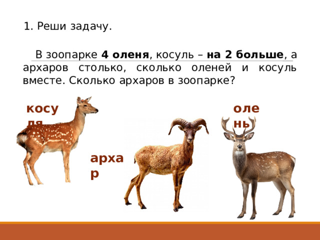 1. Реши задачу. В зоопарке 4 оленя , косуль – на 2 больше , а архаров столько, сколько оленей и косуль вместе. Сколько архаров в зоопарке? косуля олень архар 