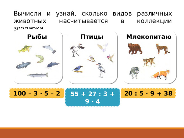 Вычисли и узнай, сколько видов различных животных насчитывается в коллекции зоопарка. Рыбы Птицы Млекопитаюшие 100 – 3 · 5 – 2 55 + 27 : 3 + 9 · 4 20 : 5 · 9 + 38 
