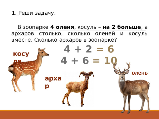 1. Реши задачу. В зоопарке 4 оленя , косуль – на 2 больше , а архаров столько, сколько оленей и косуль вместе. Сколько архаров в зоопарке? 4 + 2  = 6 4 + 6  = 10 косуля архар 