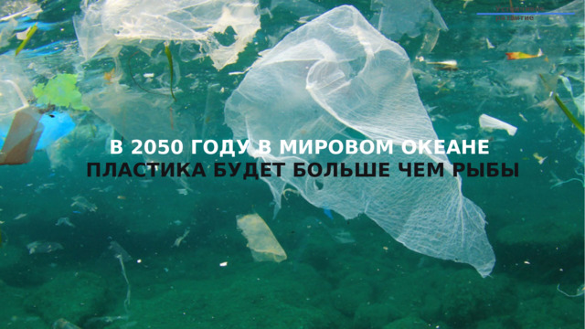 Устойчивое развитие В 2050 ГОДУ В МИРОВОМ ОКЕАНЕ ПЛАСТИКА БУДЕТ БОЛЬШЕ ЧЕМ РЫБЫ 